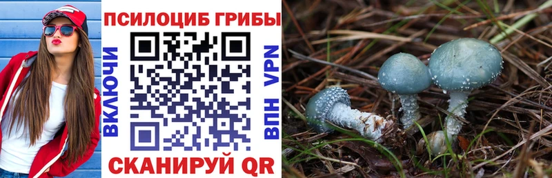 Псилоцибиновые грибы прущие грибы  наркошоп  Людиново 