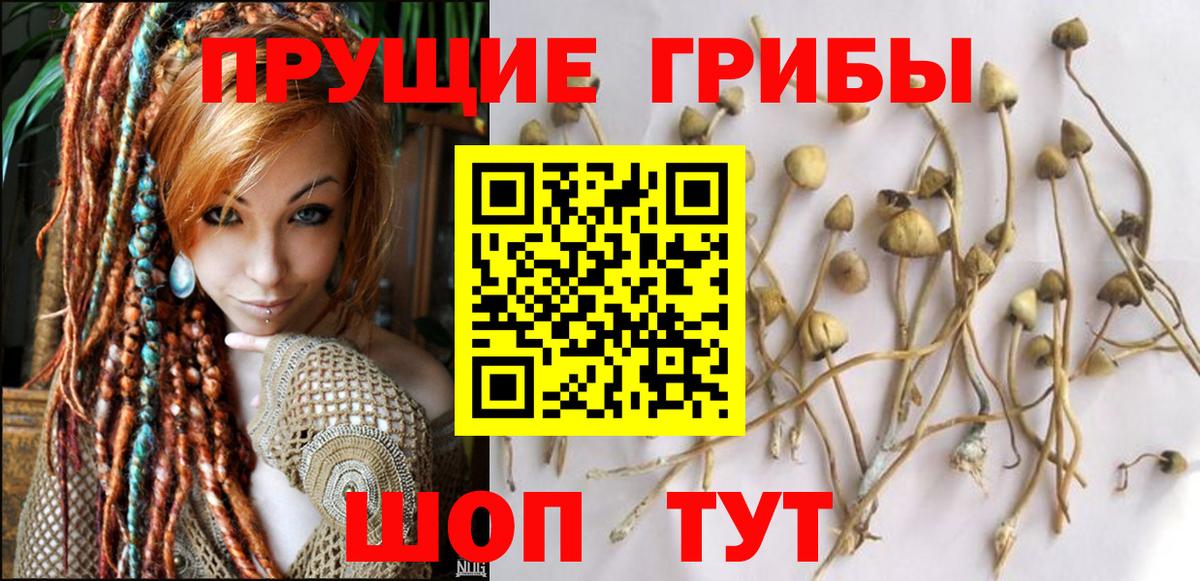 Псилоцибиновые грибы MAGIC MUSHROOMS Людиново