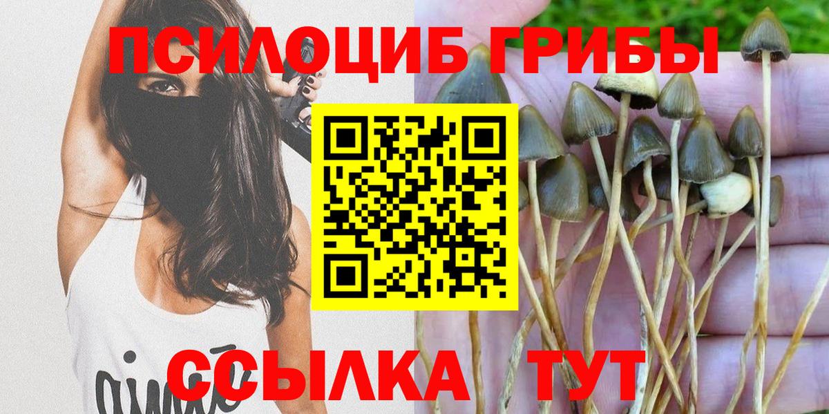 Людиново  Галлюциногенные грибы Psilocybine cubensis  Вход с VPN 