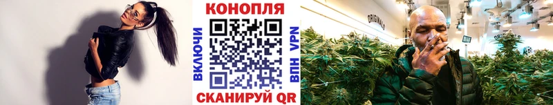 дарк нет Telegram  Людиново  Каннабис планчик 